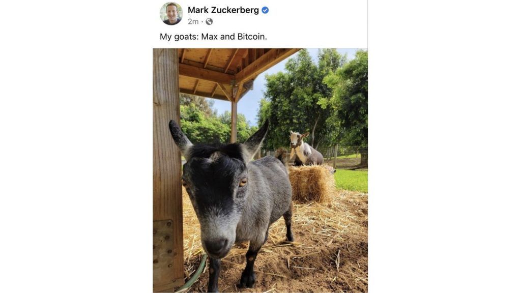 zuckerberg bitcoin